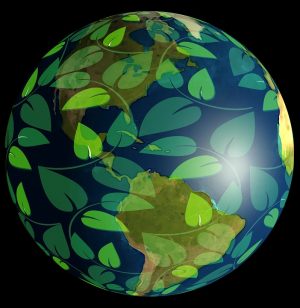 image of the globe covered with transparent green leaves